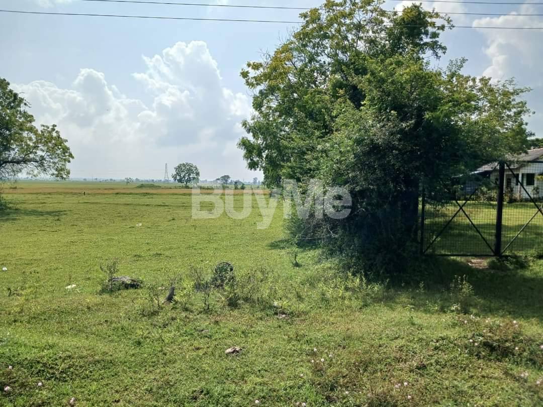 LAND FOR SALE IN VALATHAPITTY MAIN STREET, KALMUNAI