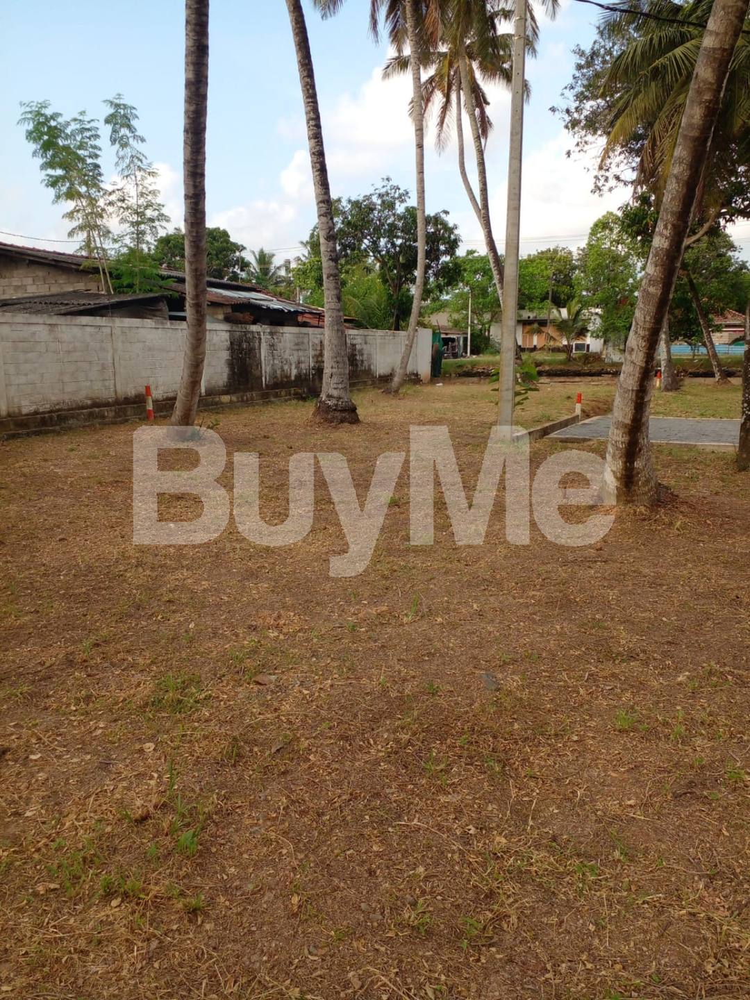 LAND FOR SALE IN WATTALA - SAVI LANDS