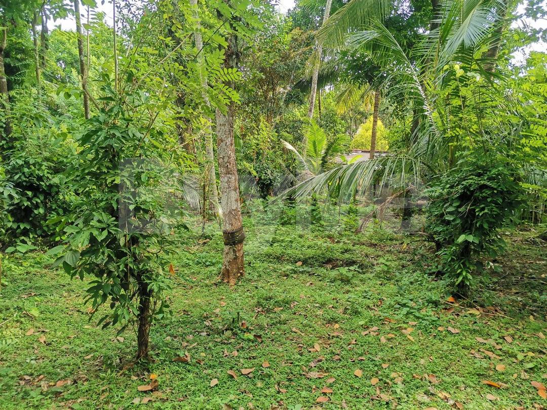 RESIDENTIAL LAND FOR SALE IN ALAWWA, KURUNEGALA