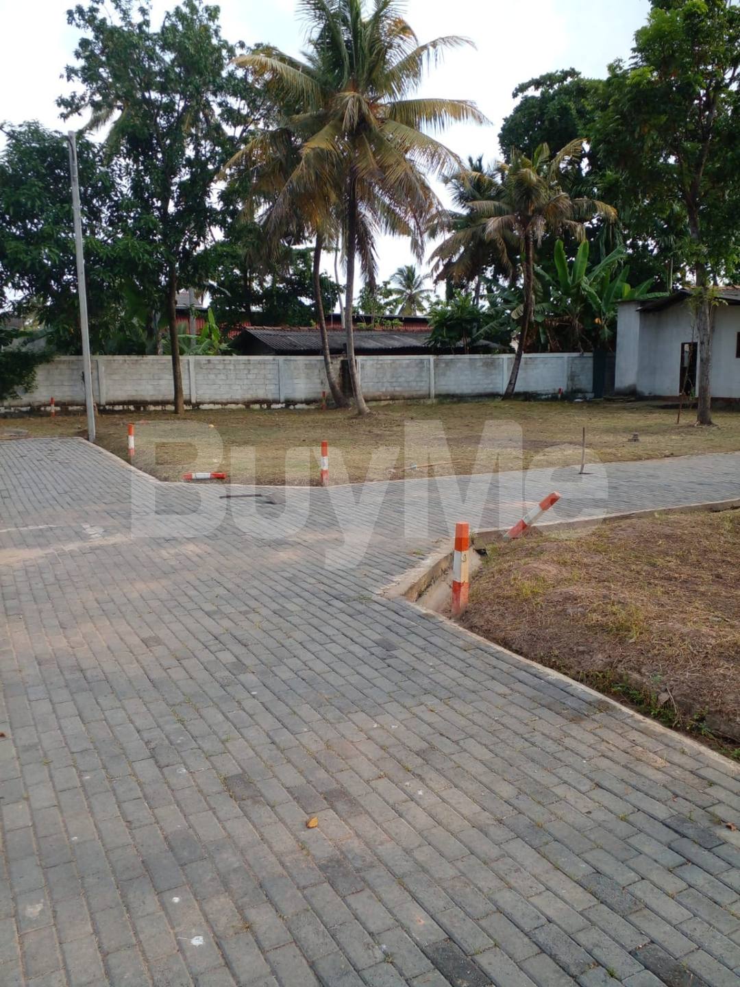 LAND FOR SALE IN WATTALA -  SAVI LANDS