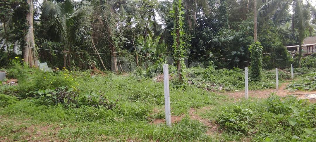 LAND FOR SALE IN KIRIWATHTHUDUWA, HOMAGAMA